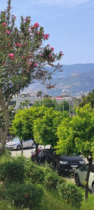 Zielone Miasta w Krajach Śródziemnomorskich - Eco Miasto